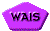 1TXT100.GIF