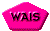 1TXT100.GIF