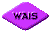1TXT100.GIF