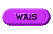 1TXT100.GIF