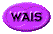 1TXT100.GIF