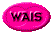1TXT100.GIF