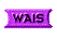 1TXT100.GIF