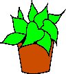 PLANT2.WMF