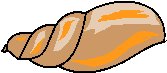 SHELL1.WMF