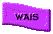 1TXT100.GIF
