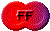 1TXT033.GIF
