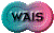 1TXT100.GIF
