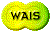 1TXT100.GIF