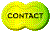 1TXT017.GIF