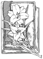P0010.TIF