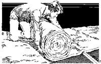 N0258.TIF