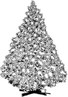 M0429.TIF