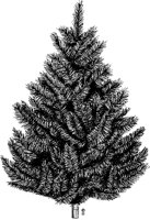 M0374.TIF
