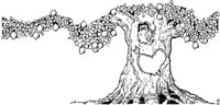 J0909.TIF