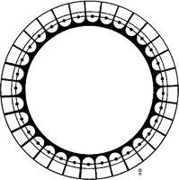 J0894.TIF