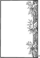 J0679.TIF
