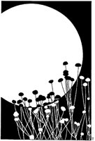 J0607.TIF