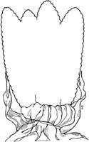 J0597.TIF