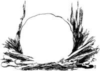 J0048.TIF