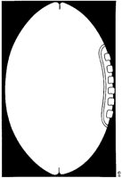 J0025.TIF