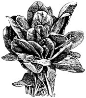 I0212.TIF