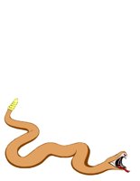 SNAKE.CGM