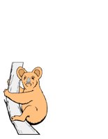 KOALA.CGM