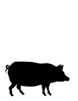 HOG.CGM