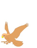 HAWK.CGM