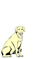 DOG2.CGM