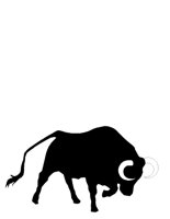 BULL.CGM