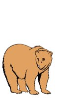 BEAR.CGM