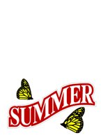 SUMMER.CGM