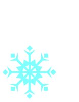 SNOFLAK2.CGM