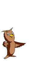 OWL1.CGM