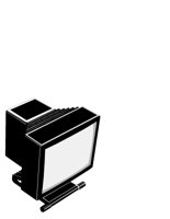 MONITOR.CGM