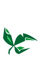 LEAF1.CGM
