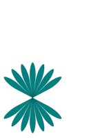DESIGN39.CGM