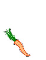 CARROT.CGM
