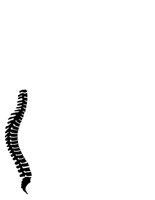 SPINE.CGM