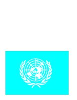 UN.CGM