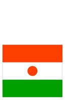 NIGER.CGM