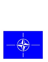 NATO_FLG.CGM