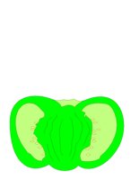 VEGTBL3.CGM
