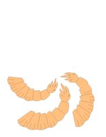 SHRIMP.CGM