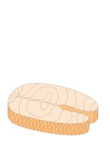 SALMON.CGM