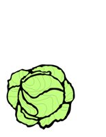 LETTUCE.CGM