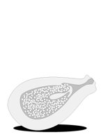 GARNSH9.CGM