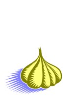 GARLIC.CGM